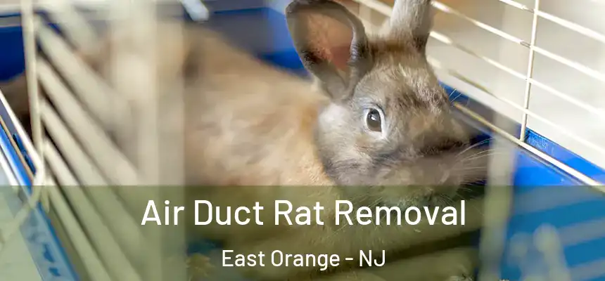 Air Duct Rat Removal East Orange - NJ