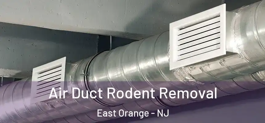Air Duct Rodent Removal East Orange - NJ