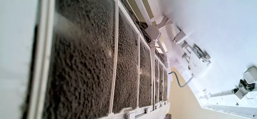 Preventive Air Duct Bacteria Removal in East Orange