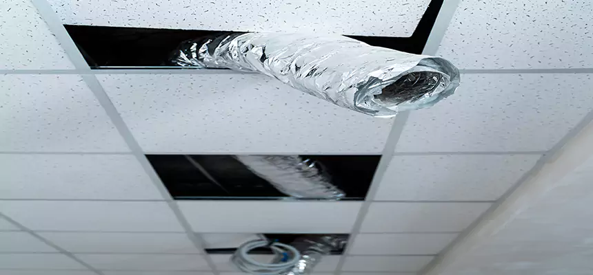 Affordable HVAC Sanitizing After Pest Removal in East Orange