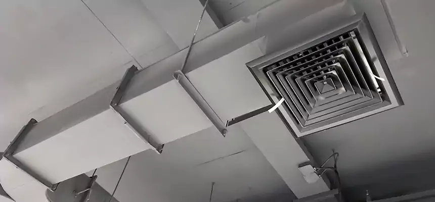 Restorative Allergy Relief Vent Cleaning – Coil, Blower & Housing Detail in East Orange