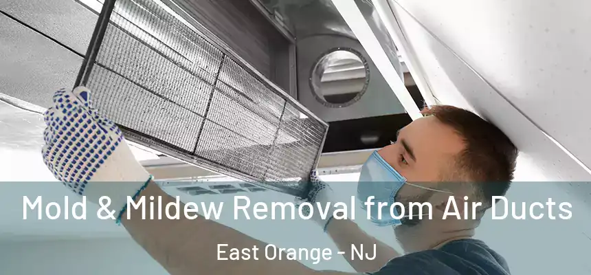 Mold & Mildew Removal from Air Ducts East Orange - NJ