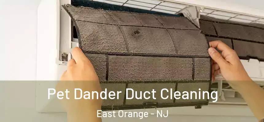 Pet Dander Duct Cleaning East Orange - NJ