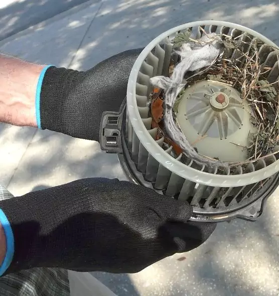 About Air Duct Mice Removal in East Orange, NJ