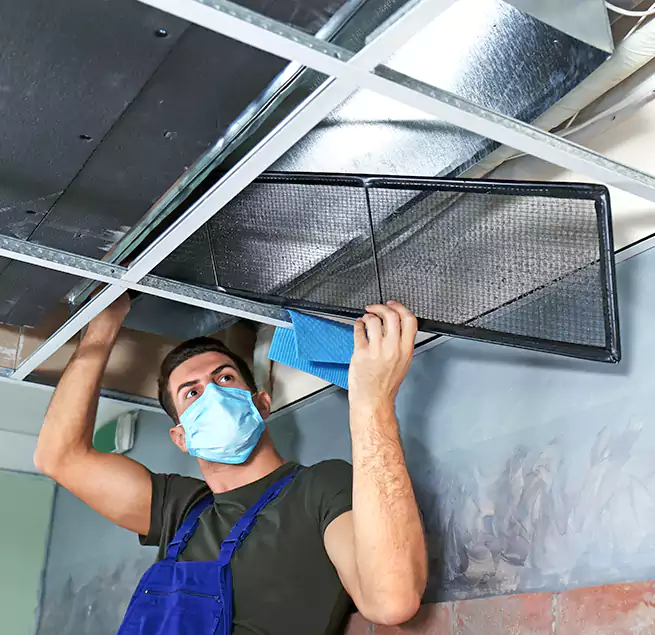 Why Homeowners Businesses Trust Us in East Orange, NJ